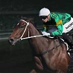 bet on horse racing today